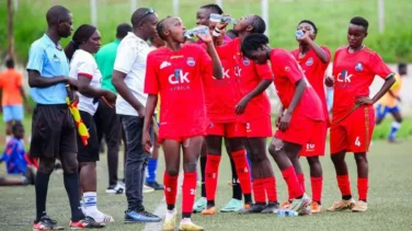 Ulizni starlets