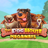 Dog House