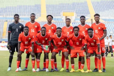 New Harambe Stars